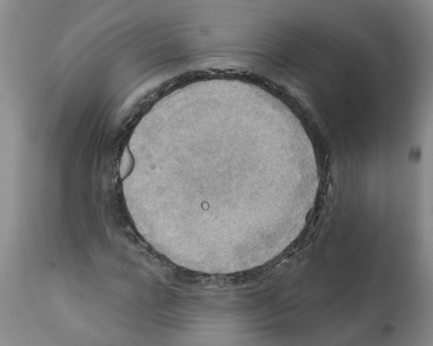 X0000112100920200909151156