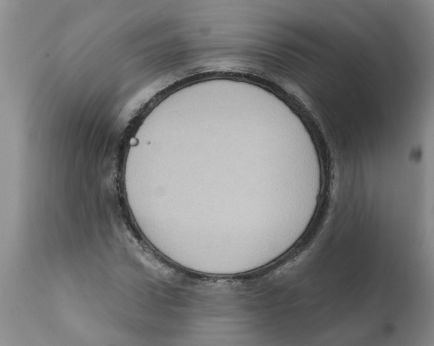 X0000112100922200909151156