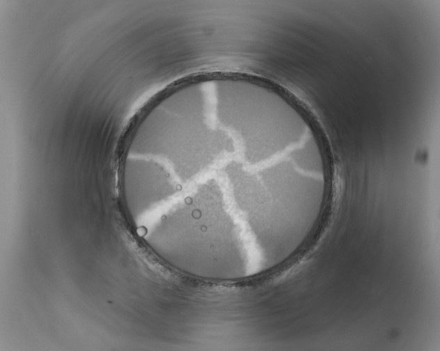 X0000112100925200909151156