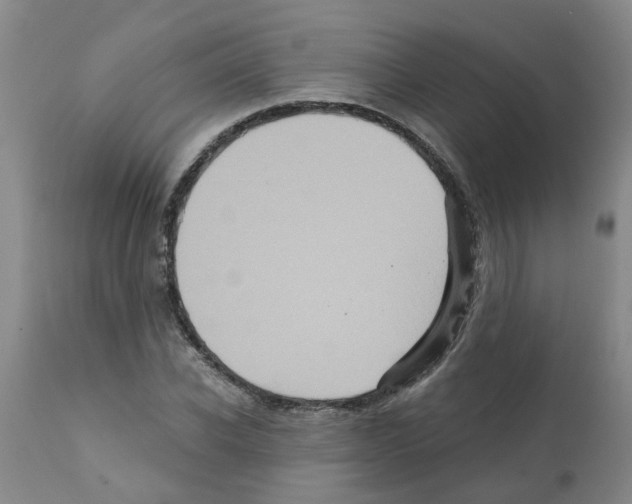 X0000112100926200909151156