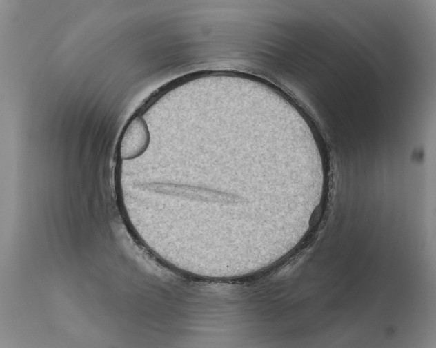 X0000112100932200909151156