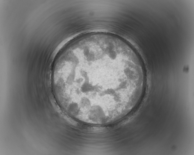 X0000112100933200909151156