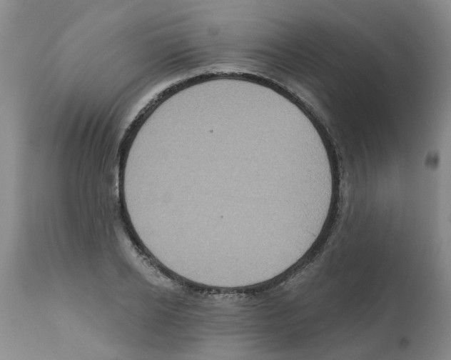 X0000112100934200909151156