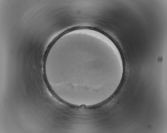 X0000112100935200909151156