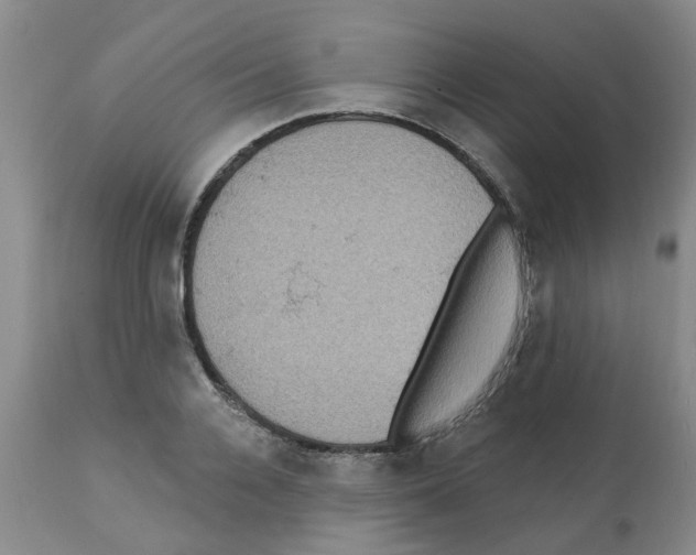 X0000112100936200909151156