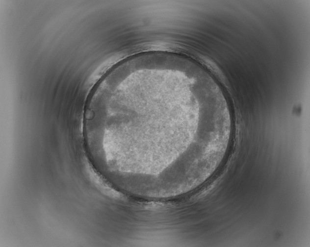 X0000112100938200909151156