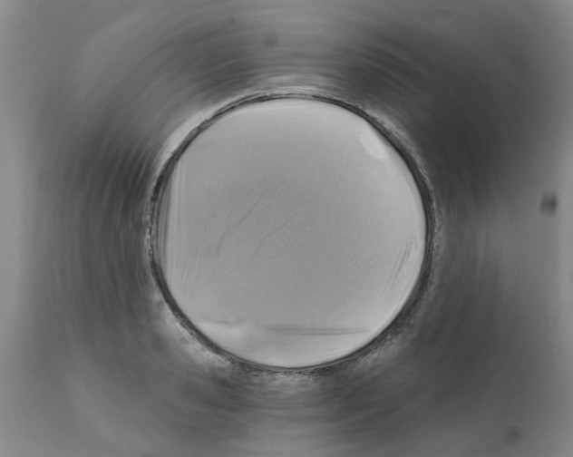 X0000112100941200909151156