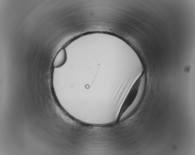 X0000112100942200909151156