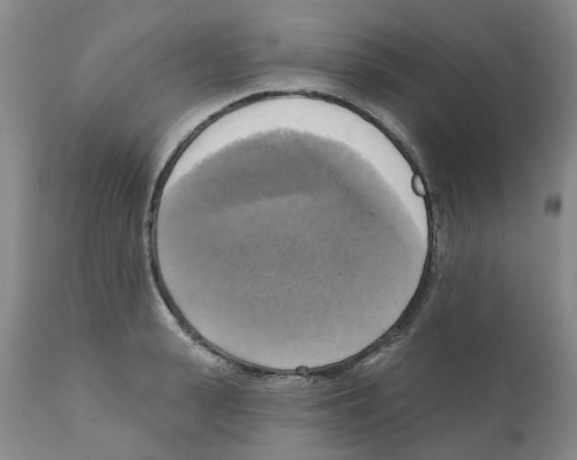X0000112100943200909151156