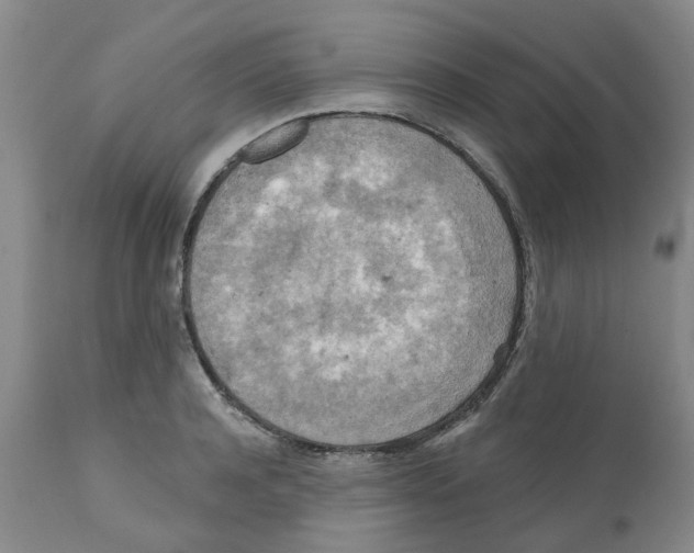 X0000112100944200909151156