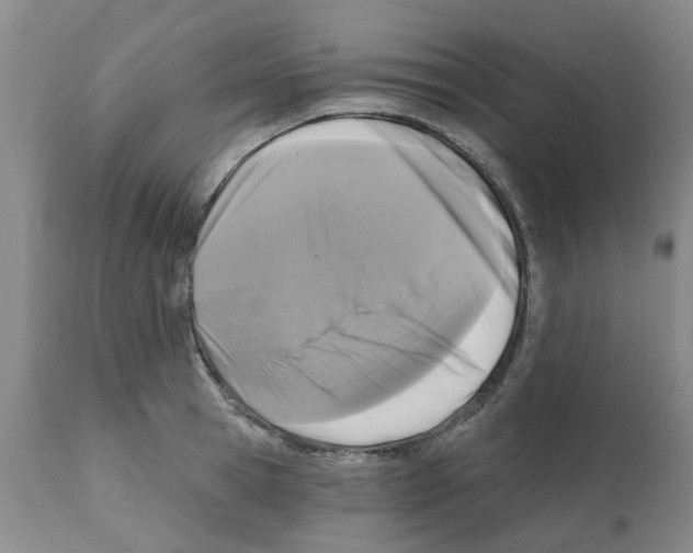 X0000112100945200909151156