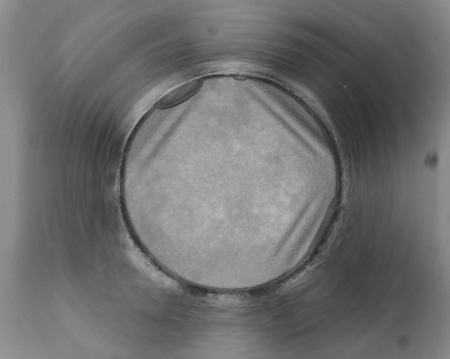 X0000112100946200909151156