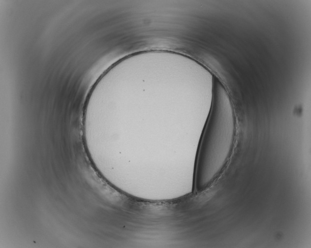 X0000112100948200909151156