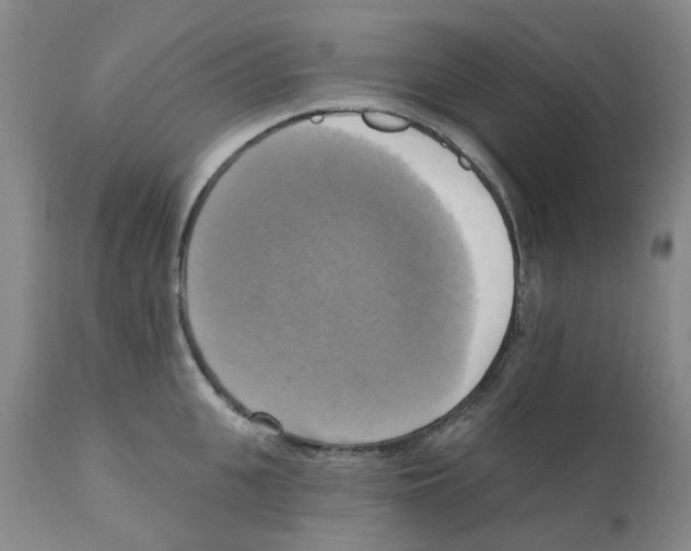 X0000112100951200909151156