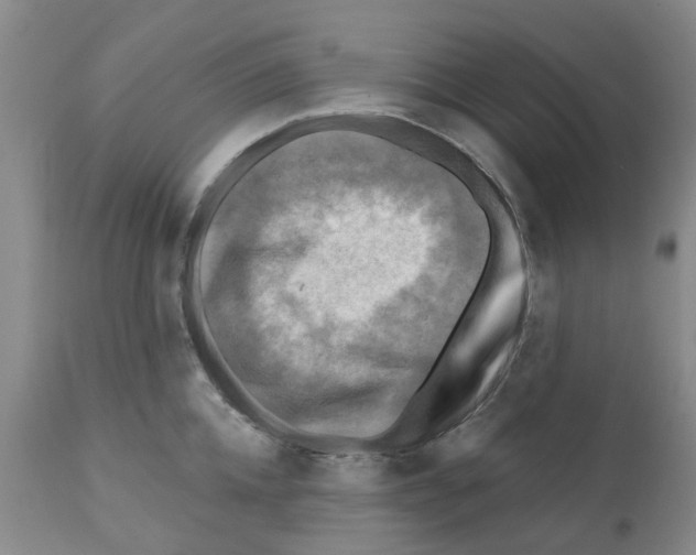 X0000112100952200909151156