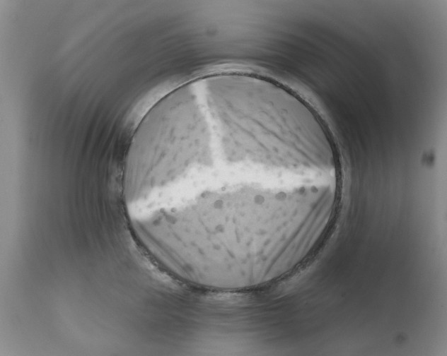 X0000112100953200909151156