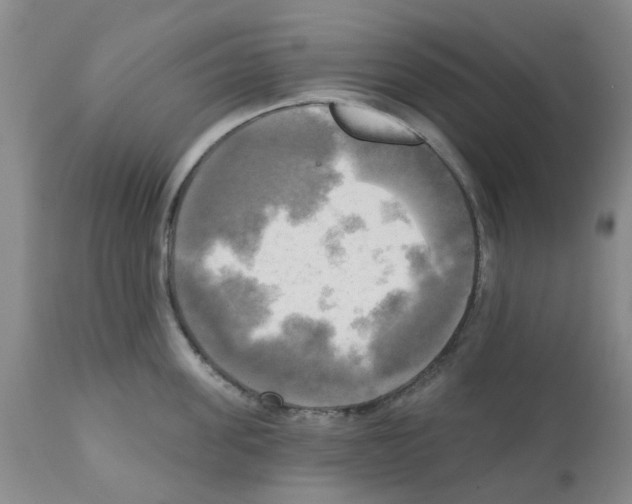 X0000112100955200909151156