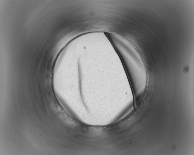 X0000112100956200909151156