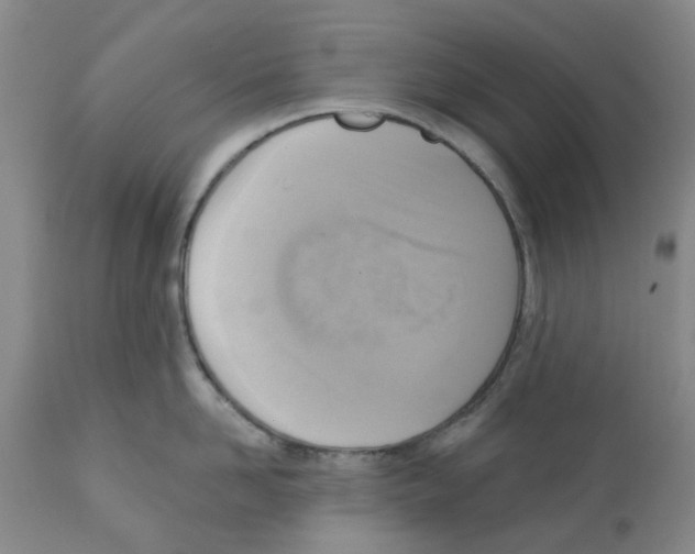 X0000112100958200909151156
