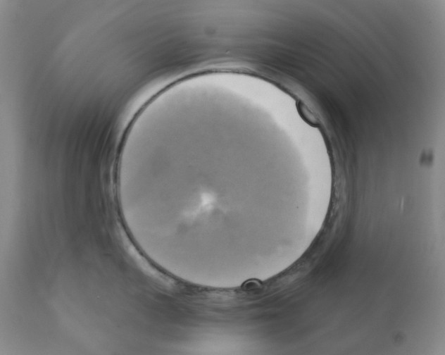 X0000112100959200909151156