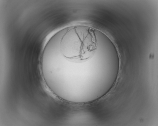X0000112100960200909151156