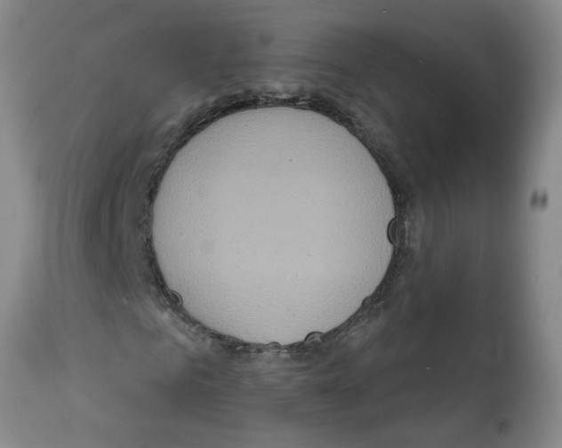 X0000112100961200909151156