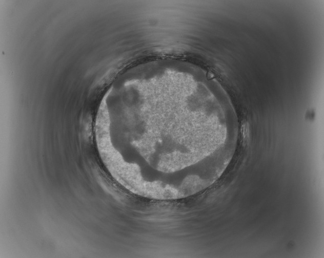 X0000112100963200909151156