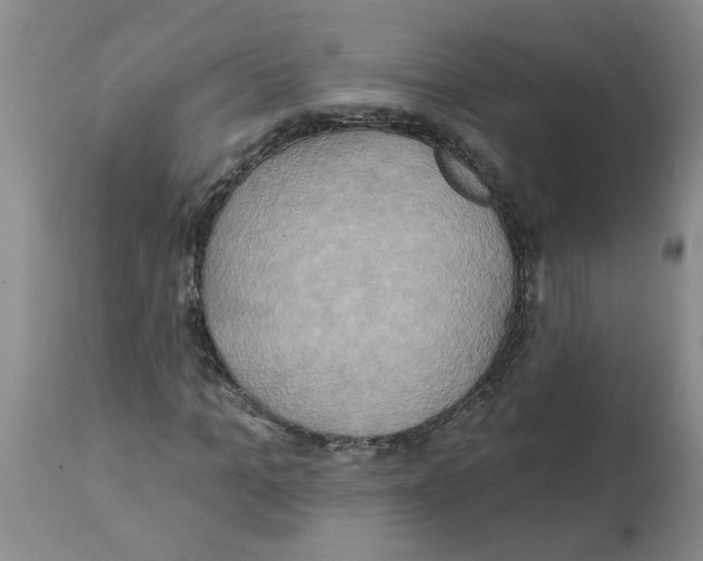 X0000112100965200909151156