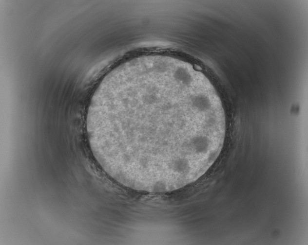 X0000112100967200909151156
