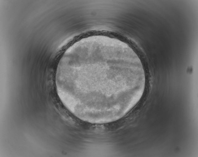 X0000112100968200909151156