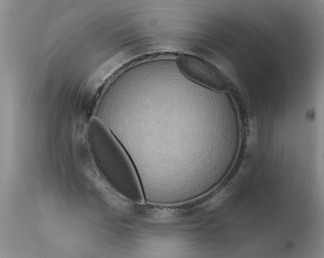 X0000112100969200909151156