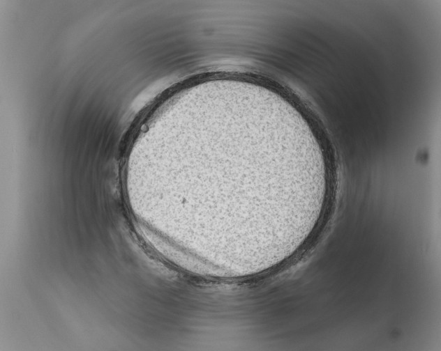 X0000112100970200909151156