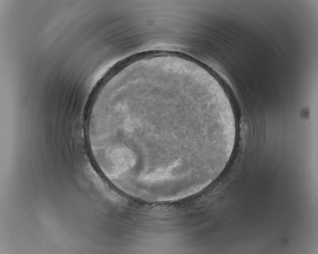 X0000112100972200909151156