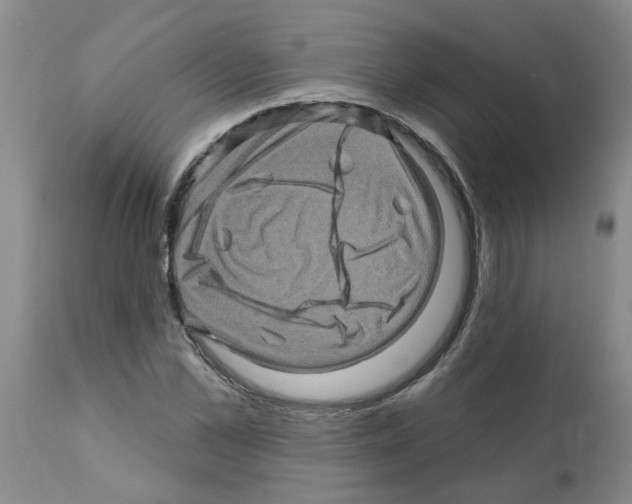 X0000112100973200909151156