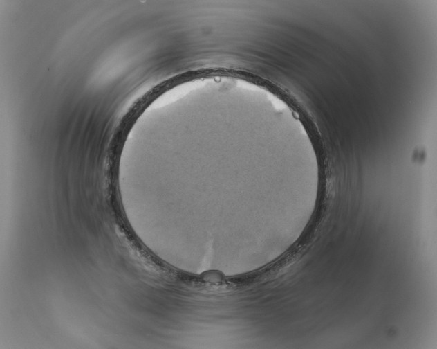 X0000112100975200909151156