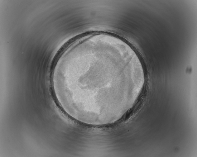 X0000112100976200909151156