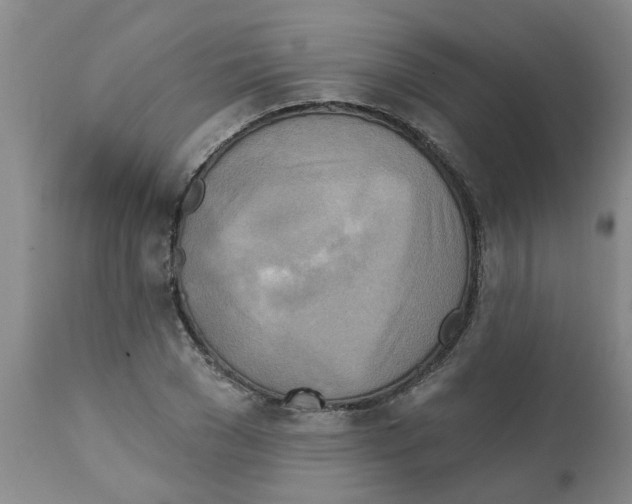 X0000112100977200909151156