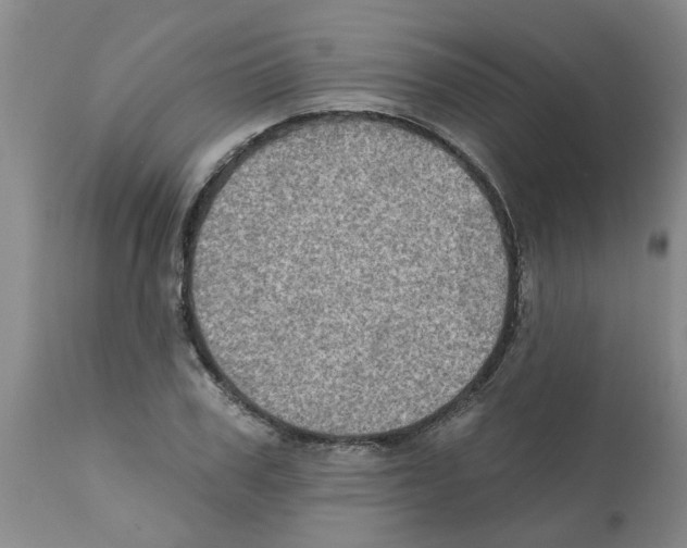 X0000112100979200909151155