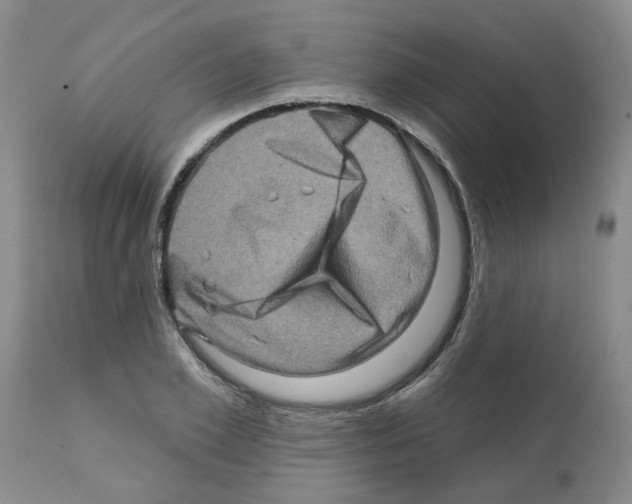 X0000112100981200909151155