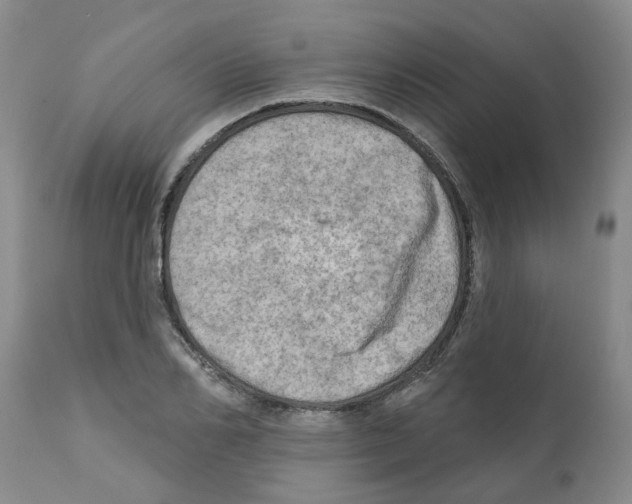 X0000112100982200909151155