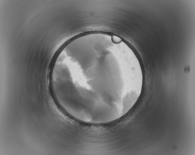 X0000112100983200909151155