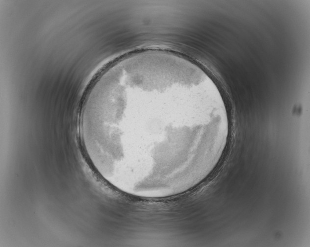 X0000112100984200909151155
