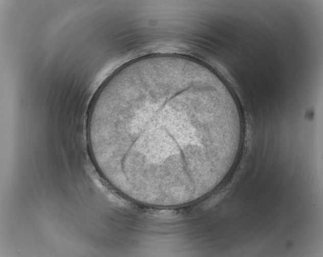 X0000112100986200909151155