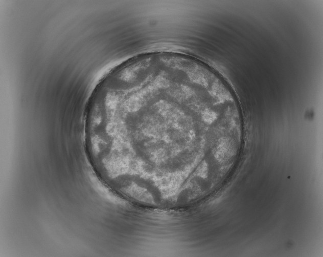 X0000112100987200909151155