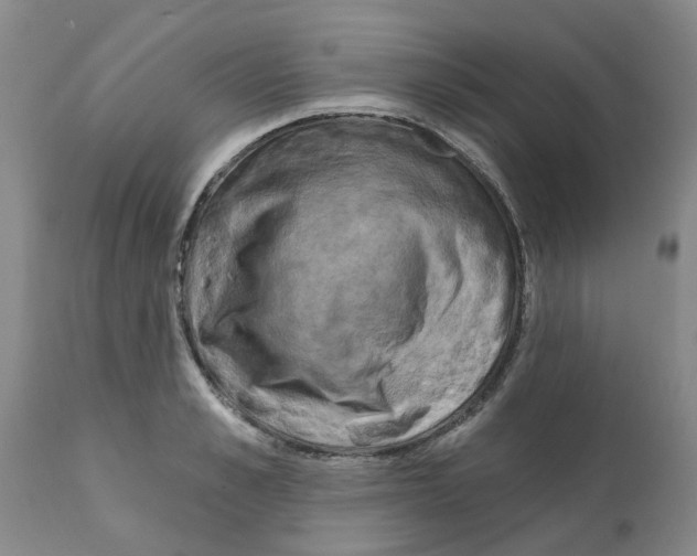 X0000112100989200909151155