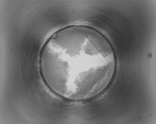 X0000112100990200909151155
