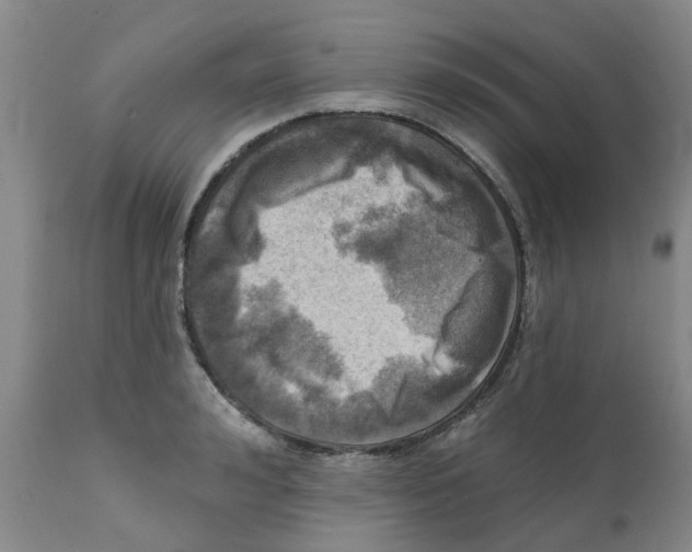 X0000112100992200909151155