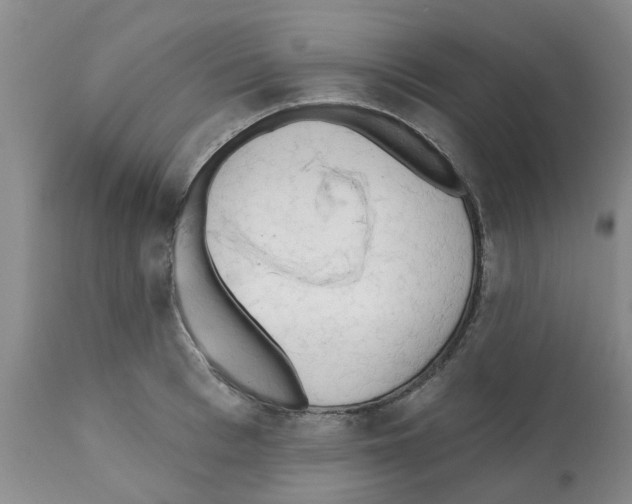 X0000112100993200909151155