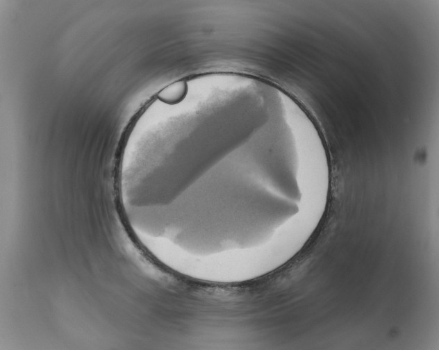 X0000112100995200909151155