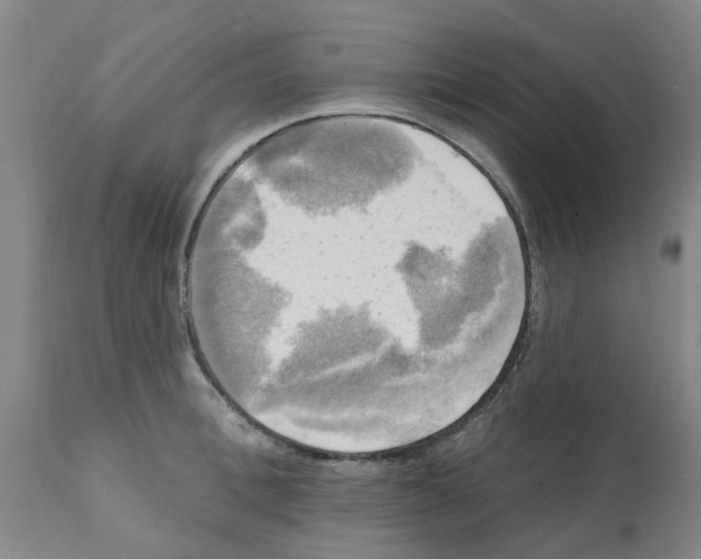 X0000112100996200909151155